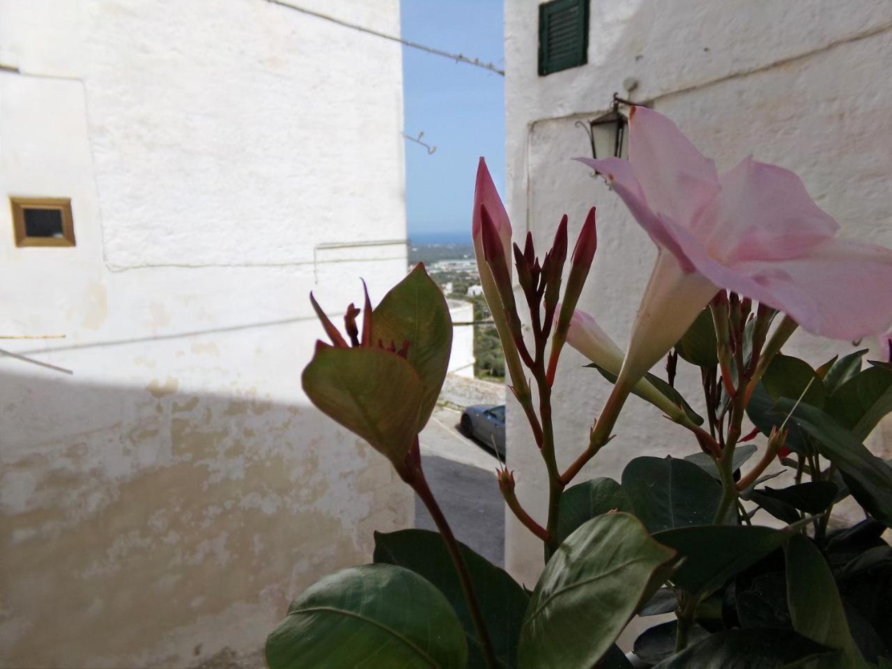 Le Tre Volte Villa Ostuni Luaran gambar